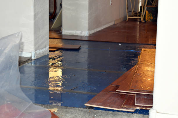 Professional Basement Flood Cleanup technician working in Havre de Grace, MD